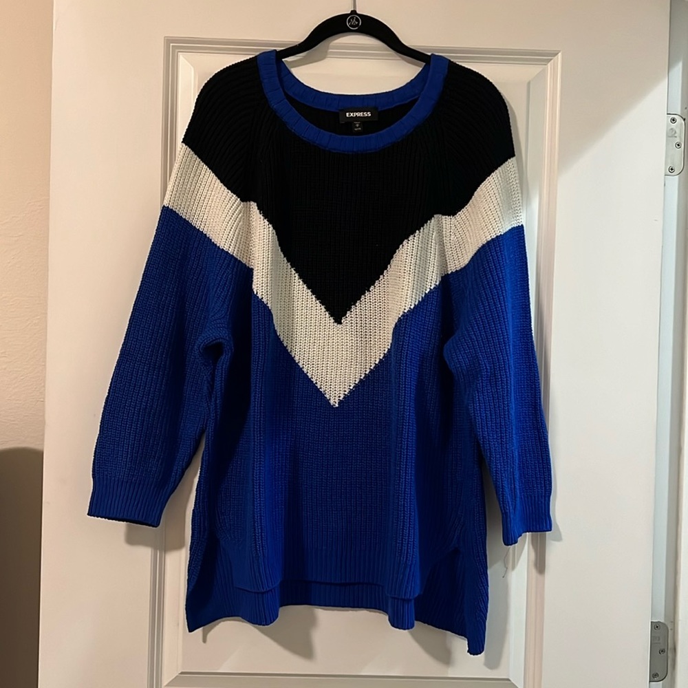 Express Tunic Sweater